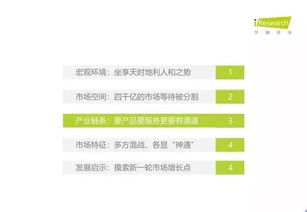 2019年中國教育信息化行業(yè)報(bào)告 信息技術(shù)咨詢服務(wù)的現(xiàn)狀與發(fā)展